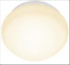 BASIC LED  Plafond Ø29 12W opal